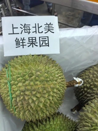 大飞朋友圈照片