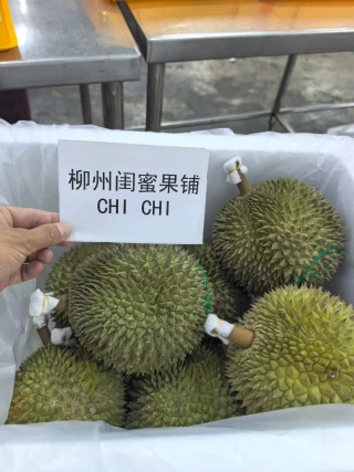 大飞朋友圈照片