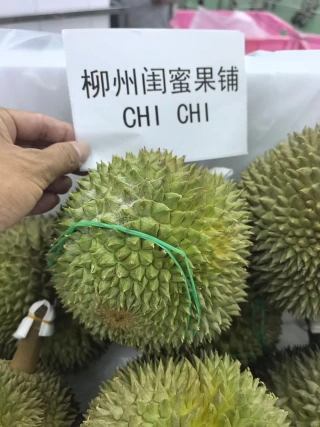 大飞朋友圈照片