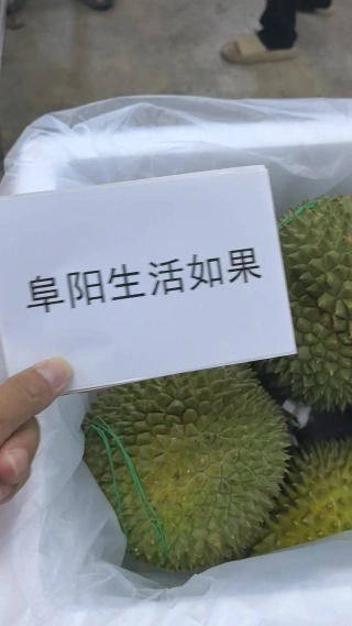 大飞朋友圈照片