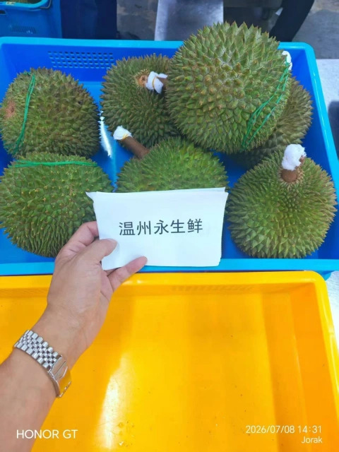大飞朋友圈照片