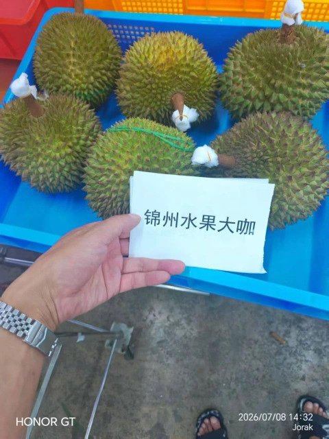大飞朋友圈照片