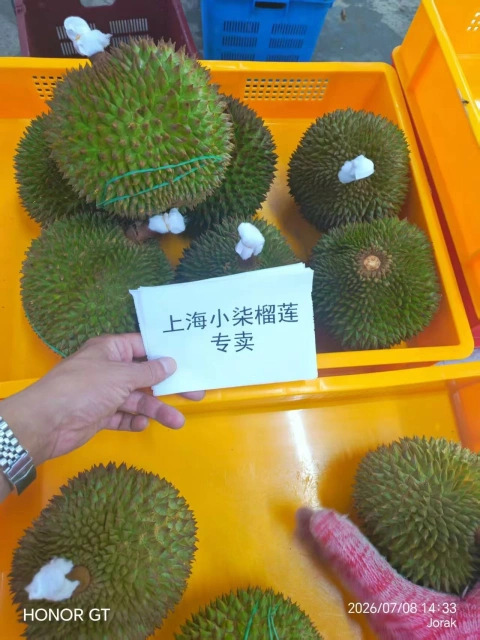 大飞朋友圈照片