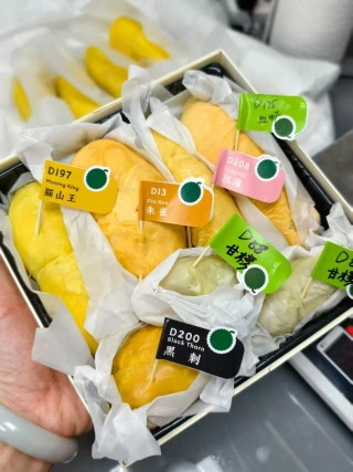 大飞朋友圈照片