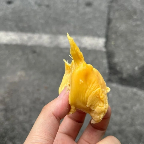 大飞朋友圈照片