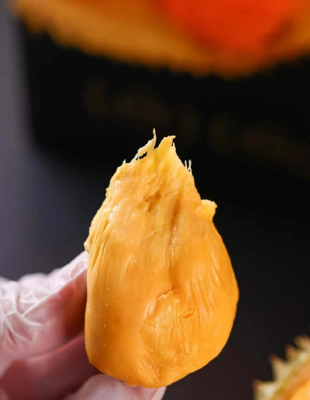 大飞朋友圈照片