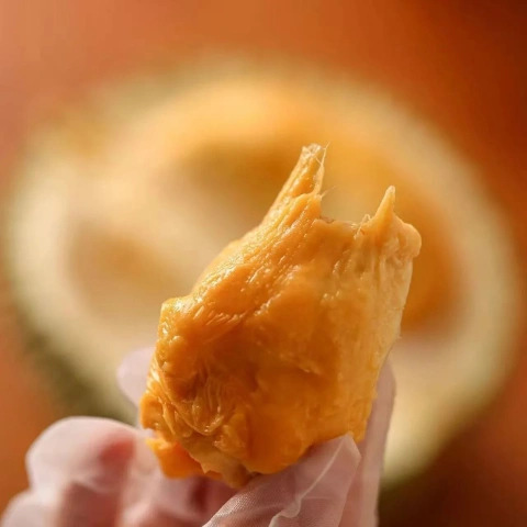 大飞朋友圈照片
