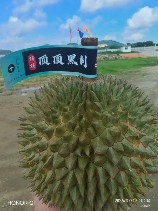 大飞朋友圈照片