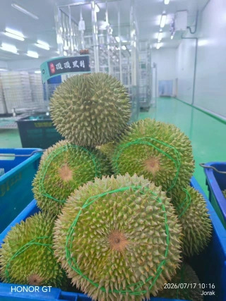 大飞朋友圈照片
