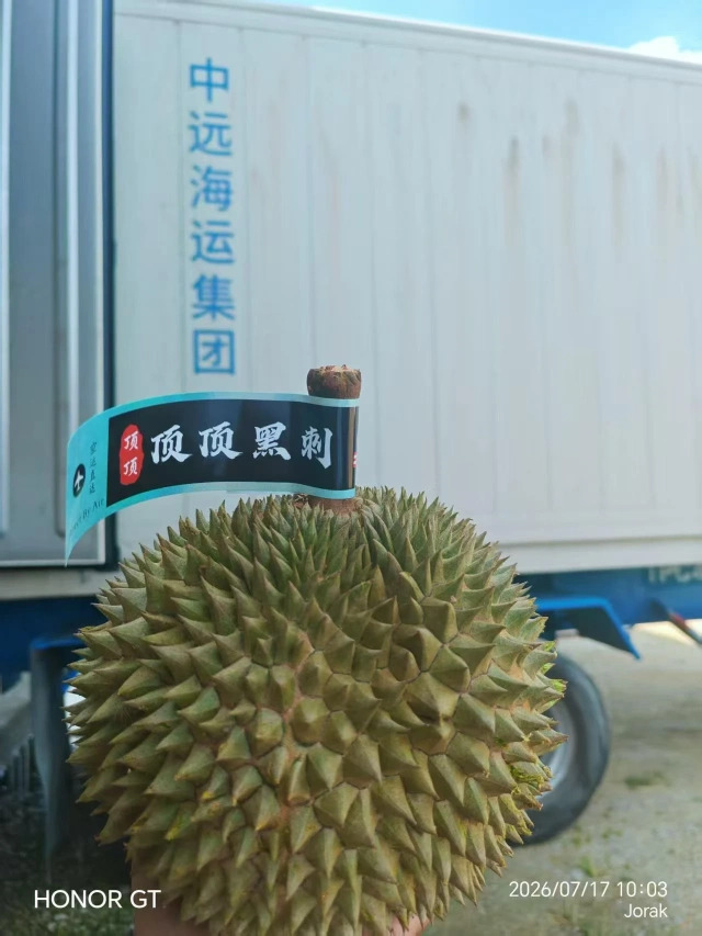 大飞朋友圈照片