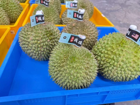 大飞朋友圈照片