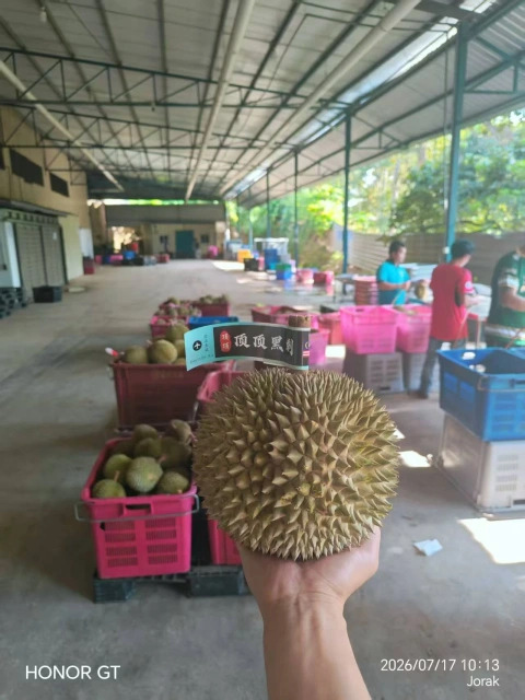 大飞朋友圈照片