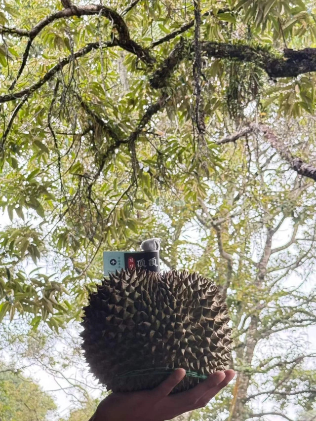 大飞朋友圈照片