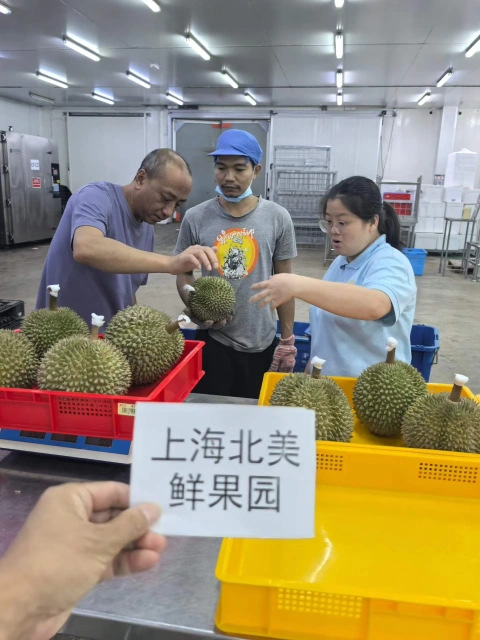 大飞朋友圈照片