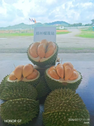 大飞朋友圈照片
