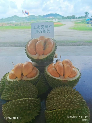 大飞朋友圈照片
