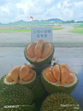 大飞朋友圈照片