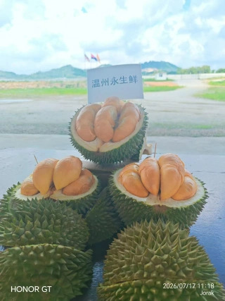 大飞朋友圈照片
