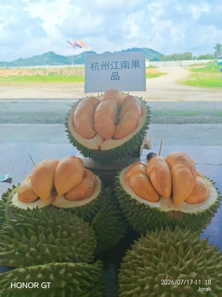 大飞朋友圈照片
