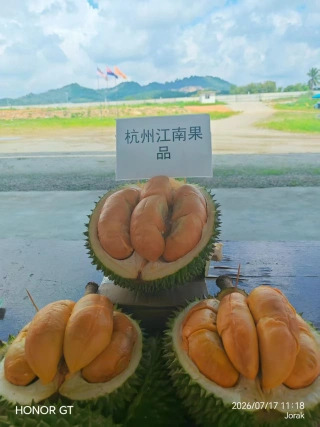 大飞朋友圈照片