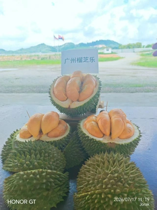 大飞朋友圈照片