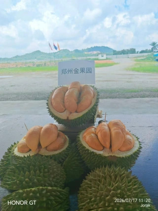 大飞朋友圈照片