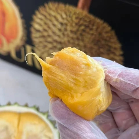 大飞朋友圈照片