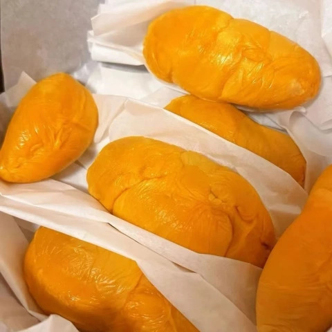 大飞朋友圈照片