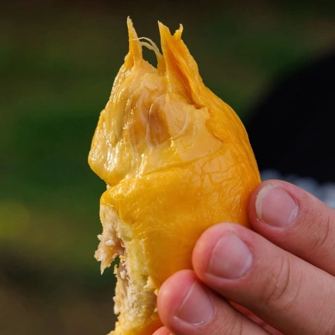 大飞朋友圈照片