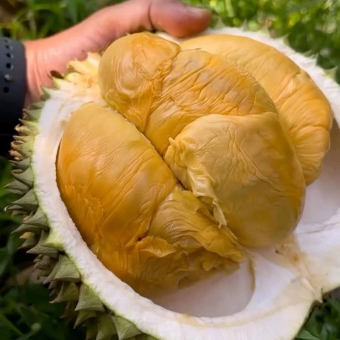 大飞朋友圈照片