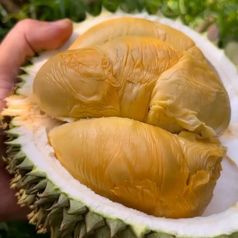 大飞朋友圈照片