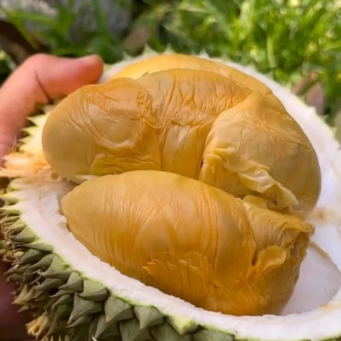 大飞朋友圈照片