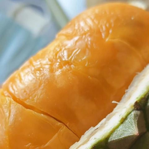 大飞朋友圈照片