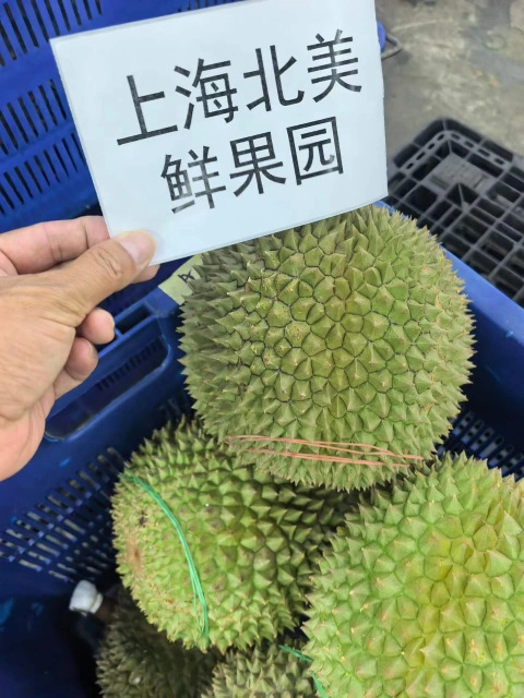 大飞朋友圈照片