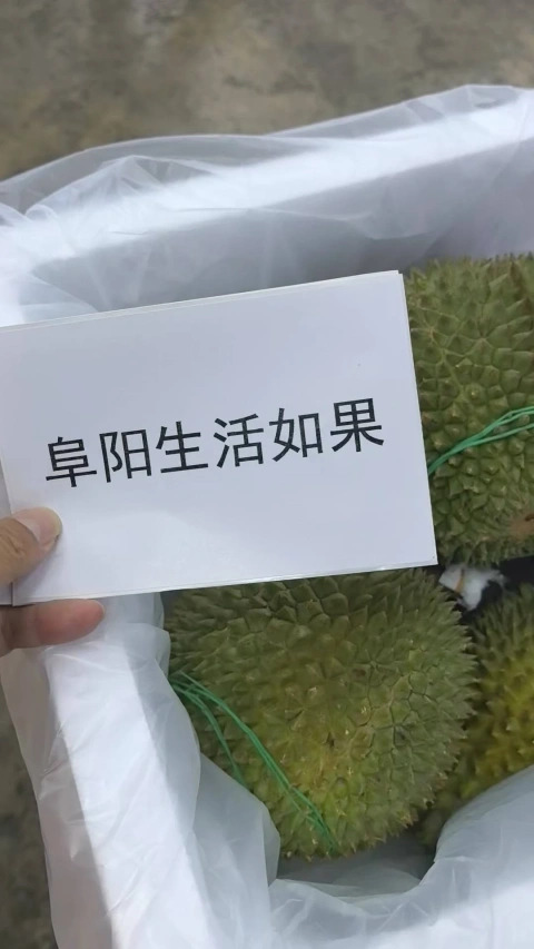 大飞朋友圈照片