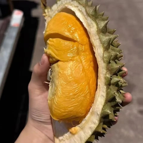 大飞朋友圈照片