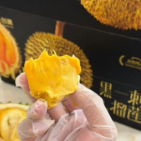 大飞朋友圈照片