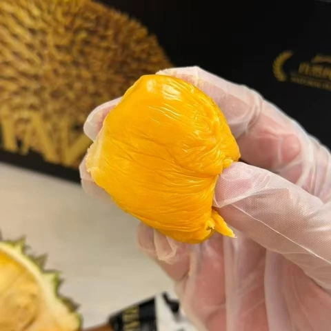 大飞朋友圈照片