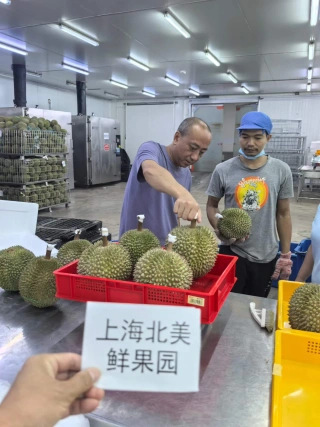 大飞朋友圈照片