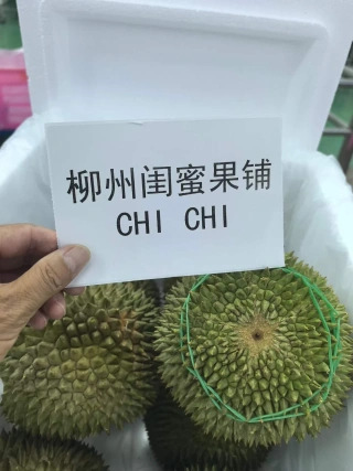 大飞朋友圈照片