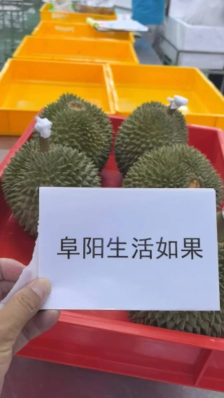 大飞朋友圈照片
