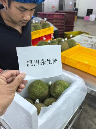 大飞朋友圈照片