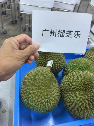 大飞朋友圈照片