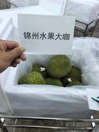 大飞朋友圈照片