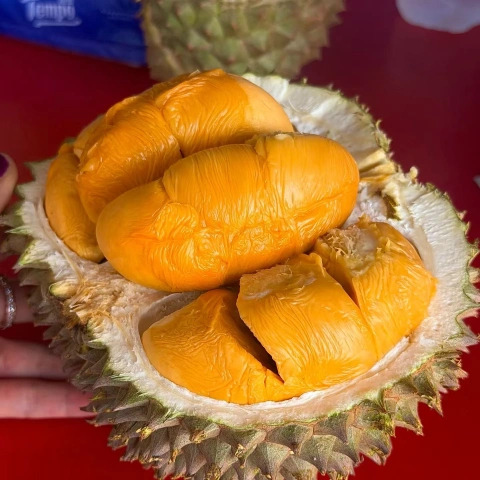大飞朋友圈照片
