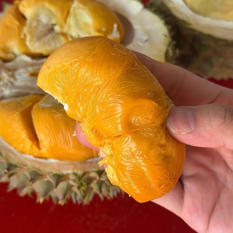 大飞朋友圈照片