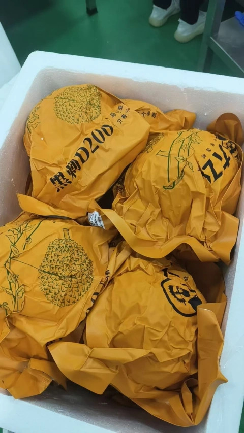 大飞朋友圈照片