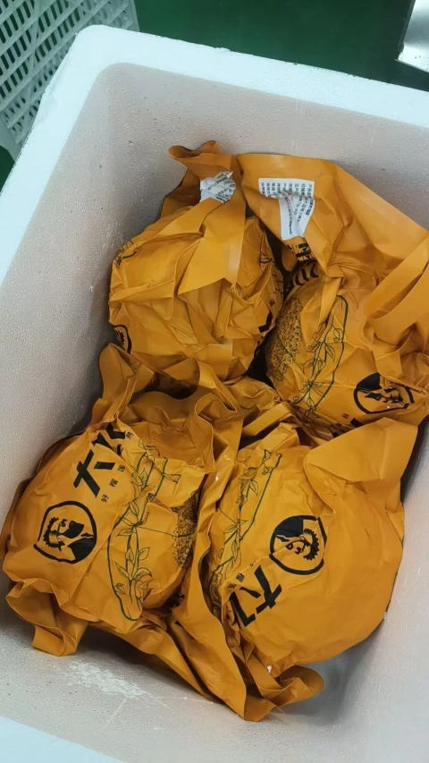 大飞朋友圈照片